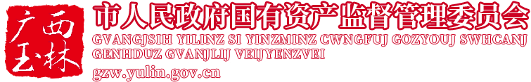 广西玉林市人民政府国有资产监督管理委员会网站